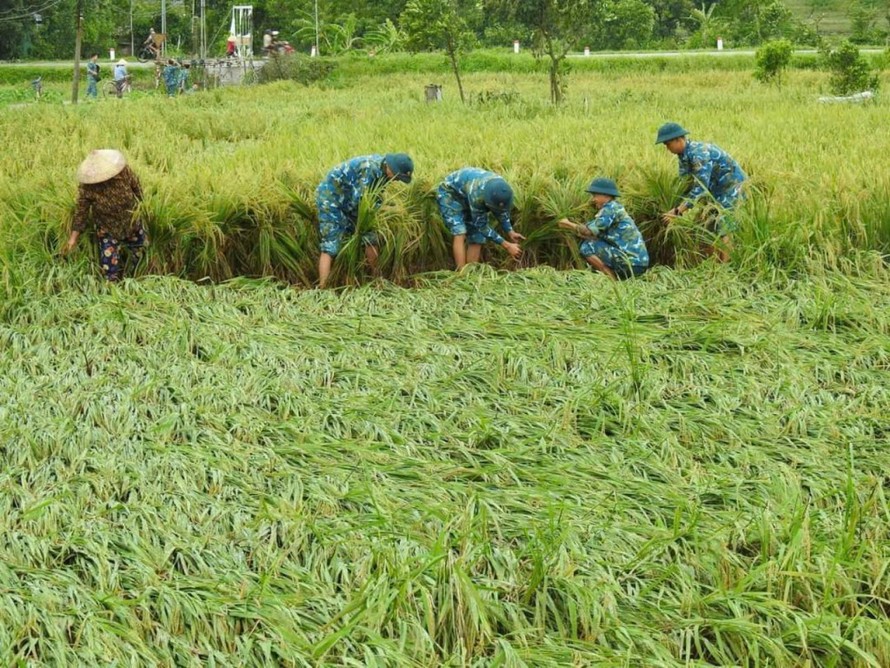 Thủ tướng chỉ đạo đẩy mạnh khôi phục sản xuất nông nghiệp