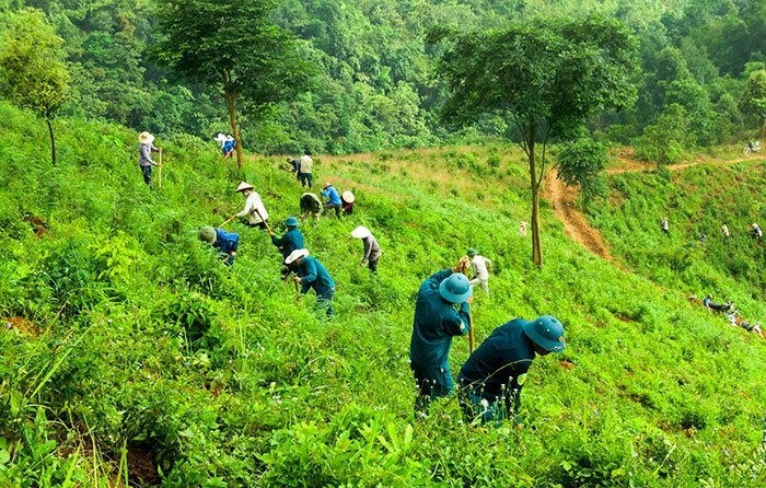 Chỉnh phủ sửa quy định về kiểm lâm và lực lượng chuyên trách bảo vệ rừng