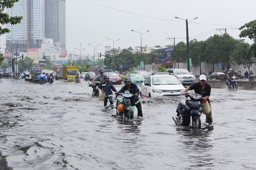 Mưa một ngày, khổ cả tuần