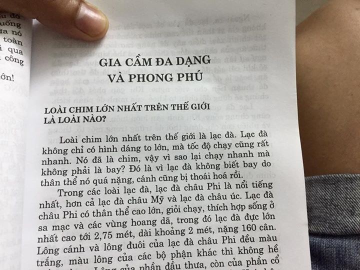 Sốc vì lỗi sách cho trẻ em: Loài chim lớn nhất thế giới là lạc đà