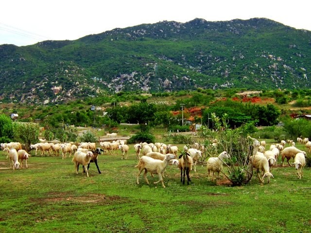 Những đứa con nông dân lại làm công nhân