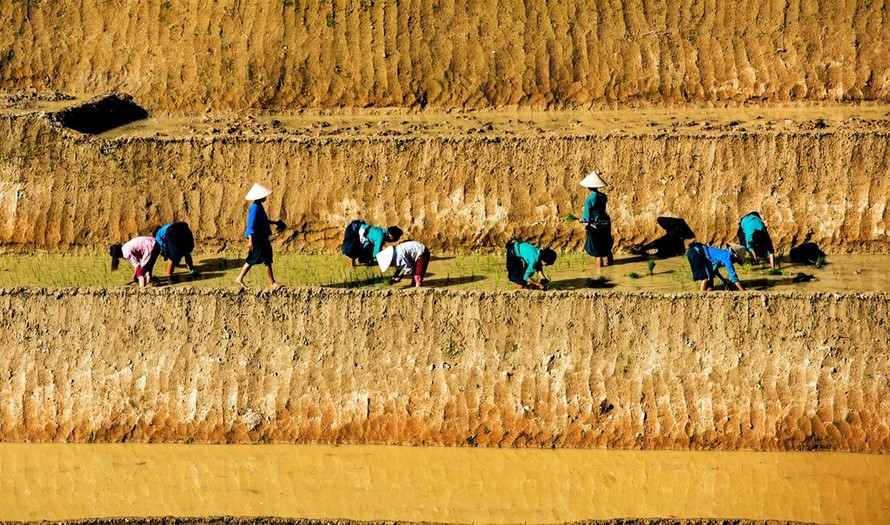 Tuyệt tác ruộng bậc thang Hoàng Su Phì mùa nước đổ