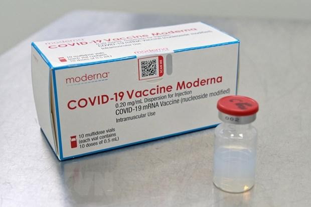 Vaccine ngừa COVID-19 của Moderna. (Ảnh: AFP/TTXVN)