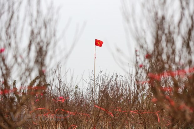 Ảnh minh họa. (Nguồn: Minh Sơn/Vietnam+)