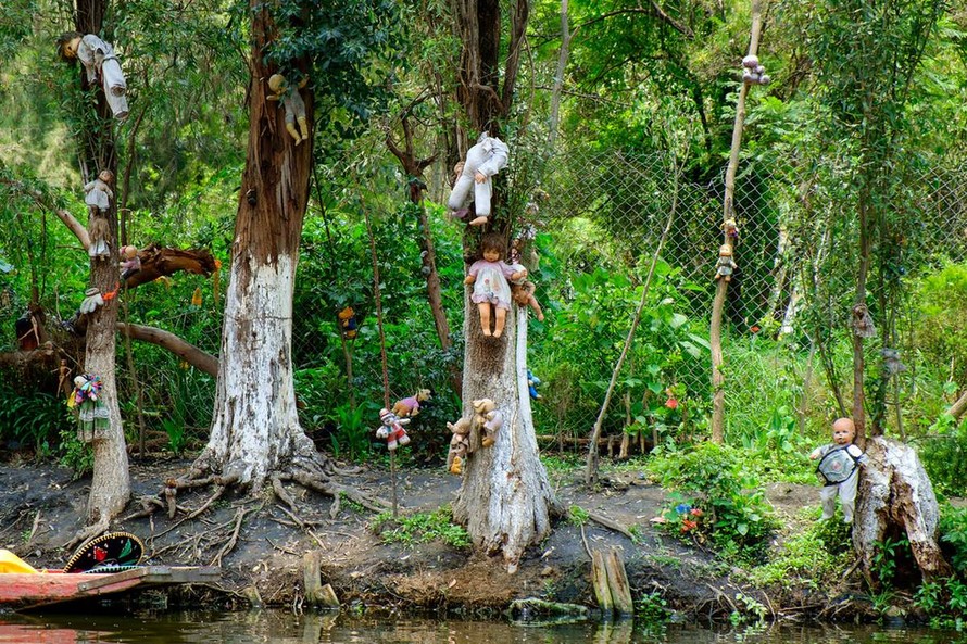 Lạnh gáy khu rừng hàng ngàn người ‘đua’ nhau vào tự sát