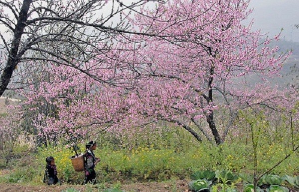 Hôm nay không khí lạnh cực mạnh tràn về, Miền Bắc sẽ có mưa tuyết