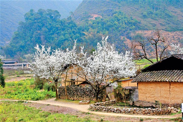 Những điểm du lịch hấp dẫn nhất Tây Bắc trong mùa xuân