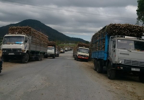 Bí mật ghi hình, Giám đốc Sở GTVT 'trảm' chánh thanh tra