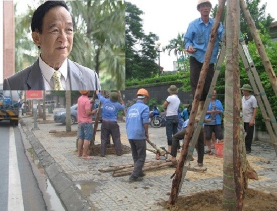 'Người ta sẽ cười cho nếu ta đi nước ngoài học trồng cây'