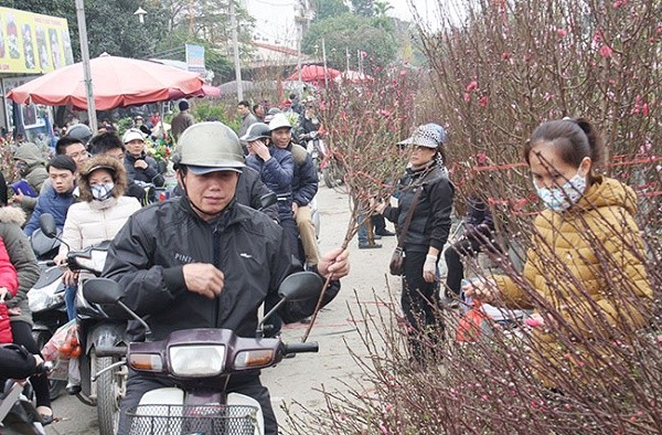  Hà Nội hửng nắng, quất, đào 'đại hạ giá' vẫn không có người mua