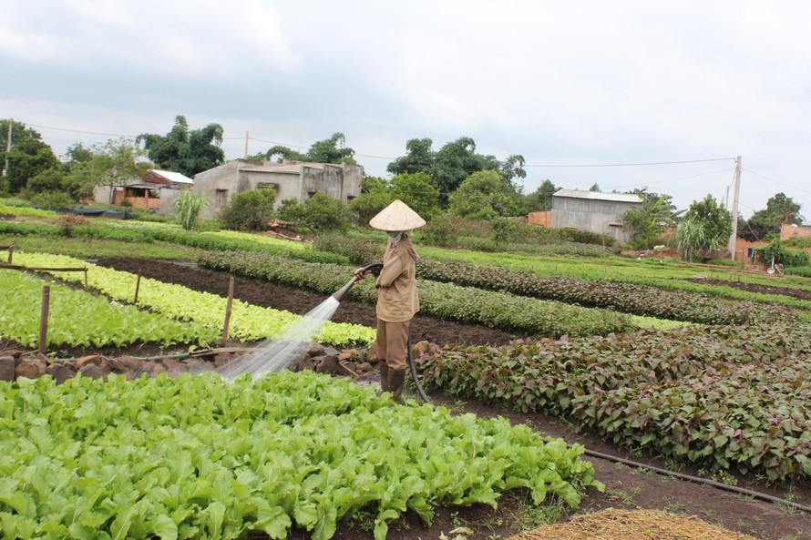 Những thứ để dành của người nông dân