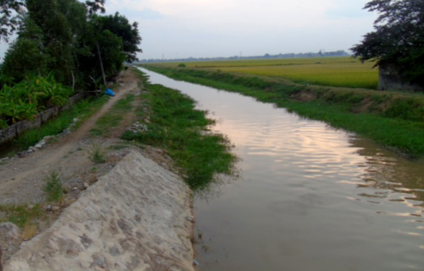 Long An: Rủ nhau tắm kênh, 3 học sinh lớp 1 chết đuối thương tâm