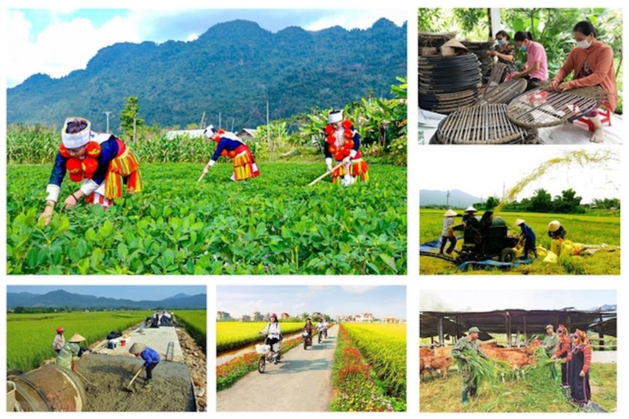 Tháo gỡ khó khăn, đầu tư có trọng điểm các Chương trình mục tiêu quốc gia