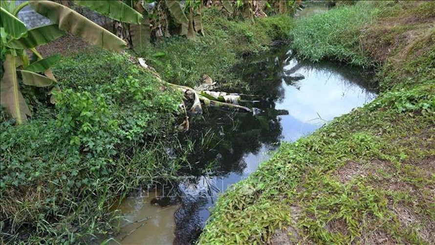 Mương nước thải có kèm nhớt đặc gần bờ rào của Công ty TNHH SX TM DV vận tải xuất nhập khẩu Hữu Đức Tây Ninh.