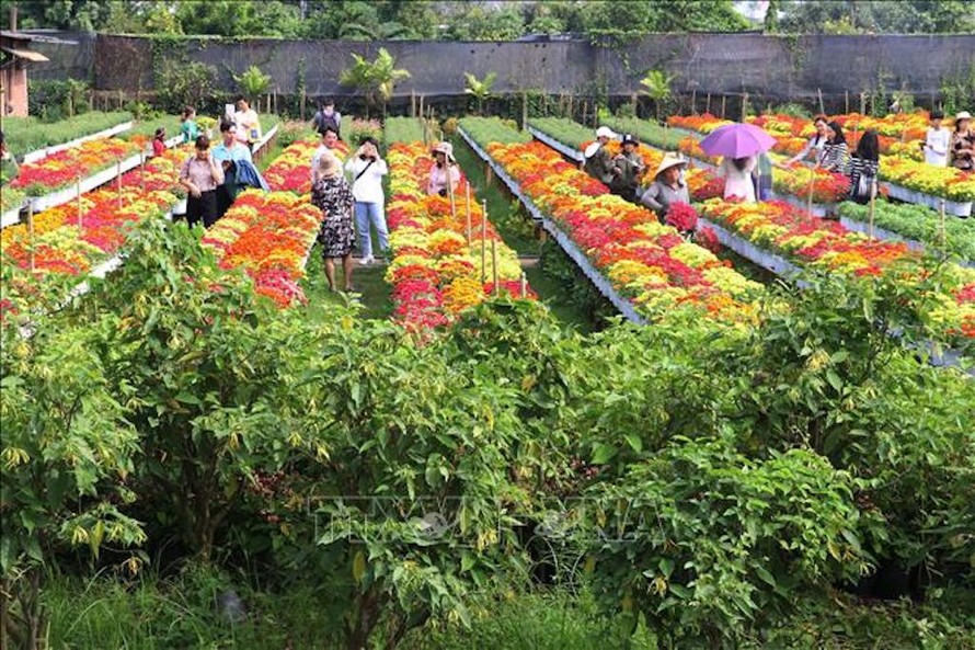 Làng hoa kiểng Sa Đéc thu hút khách đến du lịch. 