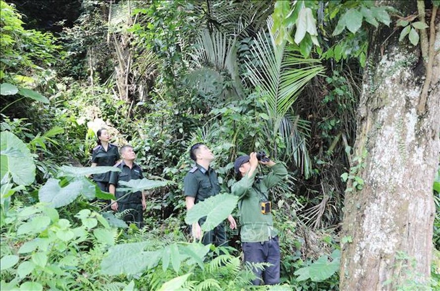 Cán bộ Ban quản lý rừng đặc dụng, phòng hộ tỉnh Thái Nguyên cùng người dân địa phương tuần rừng tại khu vực xã Cúc Đường (Võ Nhai). 