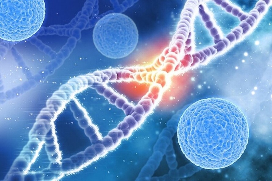 Bệnh lý đơn gene là những rối loạn di truyền bắt nguồn từ đột biến ở một gene gây ra. (Ảnh minh hoạ)