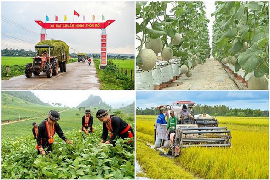Xây dựng Cơ sở dữ liệu các chương trình mục tiêu quốc gia tại Bộ Tài chính để thống nhất kết nối, tích hợp dữ liệu từ các hệ thống thông tin có liên quan đến quản lý chương trình mục tiêu quốc gia. (Ảnh minh hoạ)