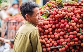 Tổng cục QLTT cam kết hỗ trợ tiêu thụ 3.000 tấn vải thiều cho nông dân Bắc Giang