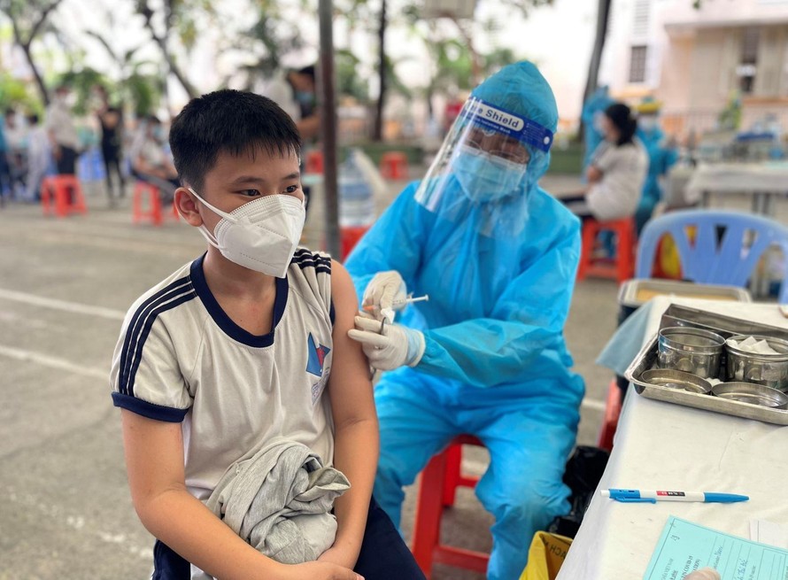 Ảnh: Đan Phương/Báo Tin tức