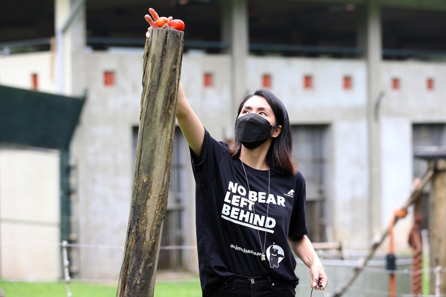 Tăng Thanh Hà cùng nhiều ngôi sao chăm sóc gấu tại Tam Đảo 