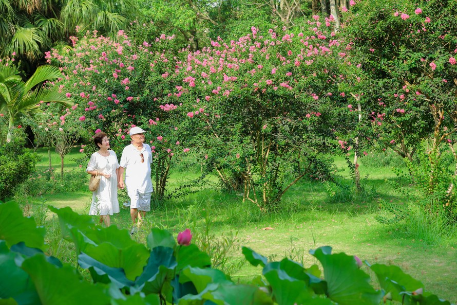 (Ảnh: Cường Nguyễn)