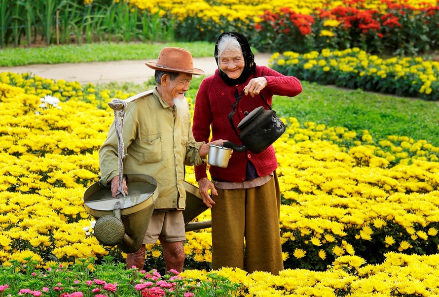 Mỗi ngày, đôi uyên ương này cùng nhau ra đồng… (Ảnh: Mai Thành Chương)