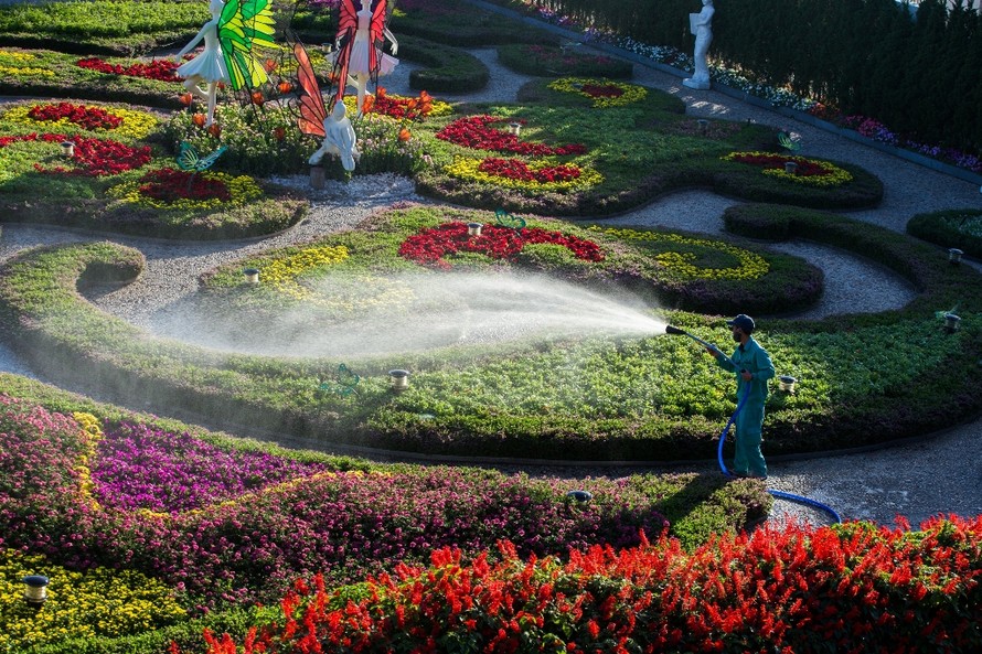 Vườn hoa nhiều màu sắc ở Bà Nà Hills