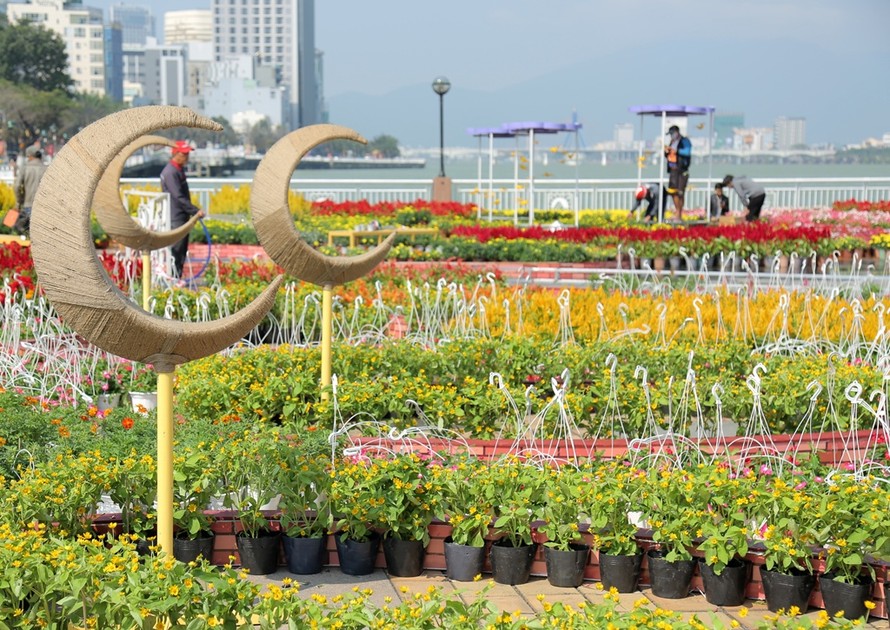 Đà Nẵng đón Tết tưng bừng với đường hoa 'Xuân sắc màu'