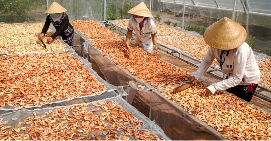 Nghề làm tôm khô Cà Mau là Di sản Văn hóa phi vật thể quốc gia