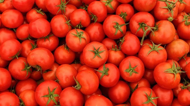 Ảnh minh họa. (Nguồn: Global Look Press)