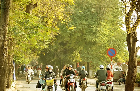 Nền nhiệt miền Bắc cao trên 29 độ, Nam Bộ có mưa giải nhiệt vào chiều tối