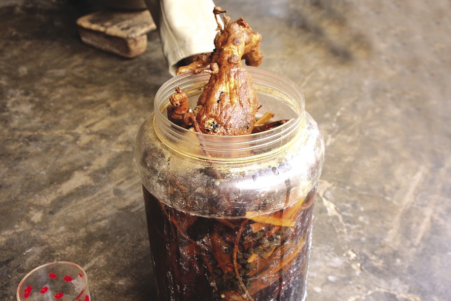 Uống rượu ngâm hạt cây chân chó, 3 người tử vong