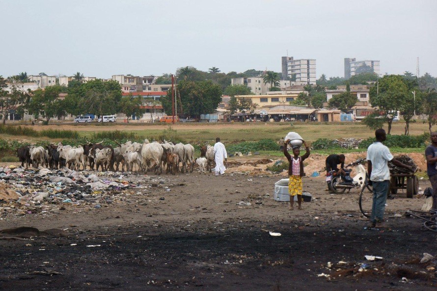 WHO kêu gọi các nước giảm thiểu khủng hoảng khí hậu