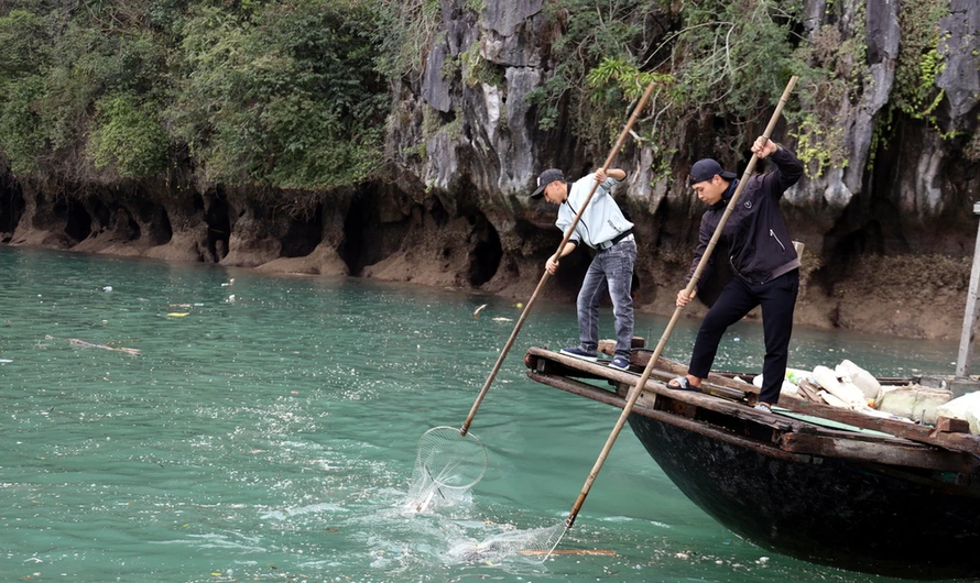 Xử lý triệt để rác thải trên vịnh Hạ Long