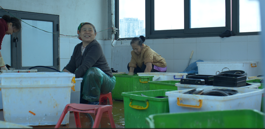 Thợ rửa bát 
