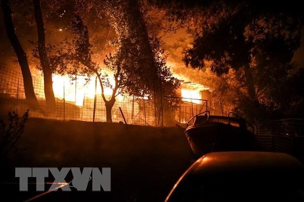 Mỹ: Đám cháy rừng vượt tầm kiểm soát tại bang Oregon