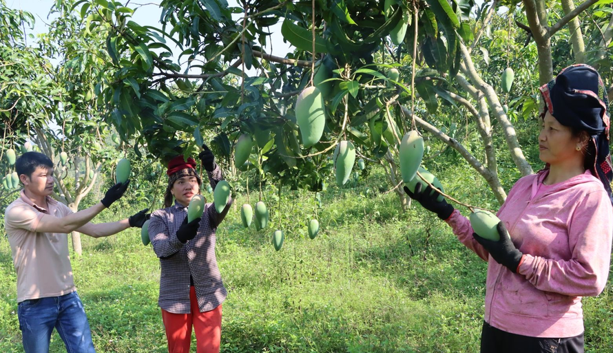 Ứng dụng công nghệ cao vào sản xuất nông nghiệp