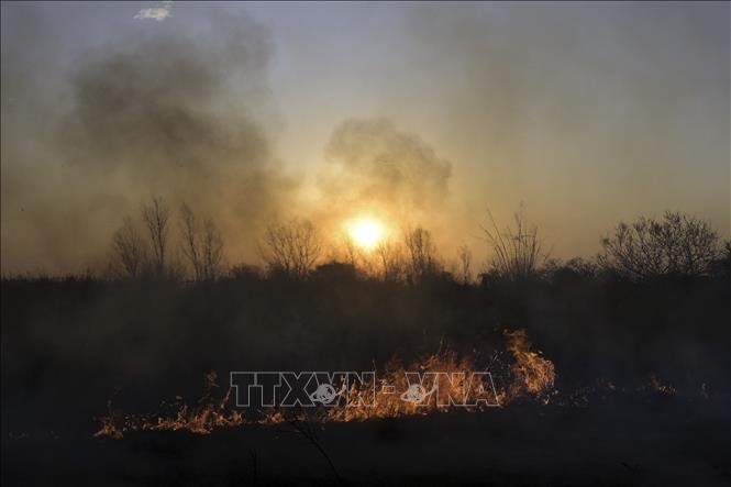 Chính phủ Argentina thành lập Cơ quan Khẩn cấp Liên bang để chống cháy rừng