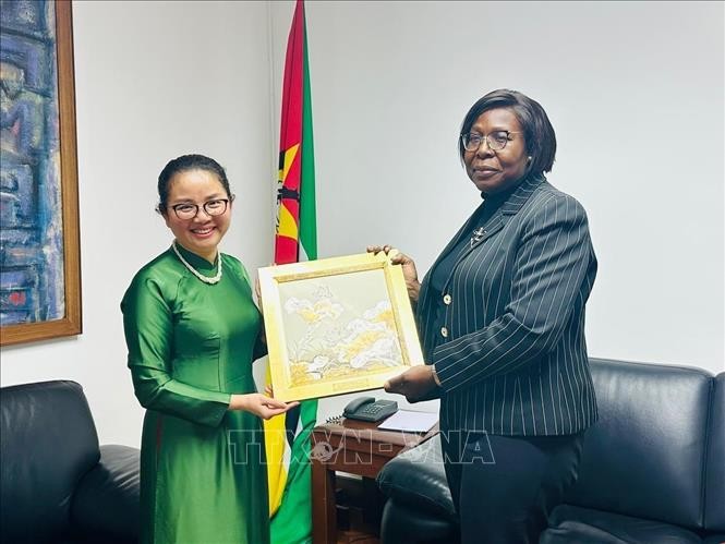 Đại sứ Việt Nam tại Mozambique Trần Thị Thu Thìn chào xã giao Thủ tướng Mozambique Maria Benvinda Delfina Levi. Ảnh: TTXVN phát