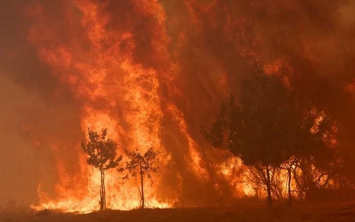 Lời cảnh báo nguy cơ cháy rừng ngày càng tăng đối với châu Âu