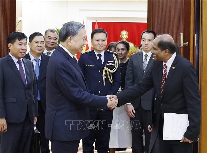 Tổng Bí thư Tô Lâm tiếp Đại sứ Singapore tại Việt Nam