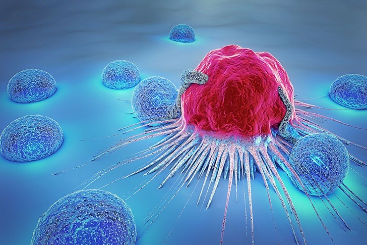 Israel điều trị ung thư máu bằng liệu pháp tế bào biến đổi gene