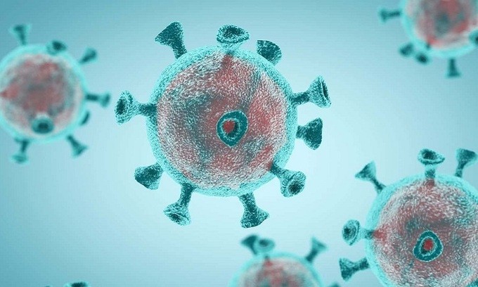 nCoV có thể gây tổn thương ở nhiều cơ quan nội tạng. - Ảnh: Flinder.