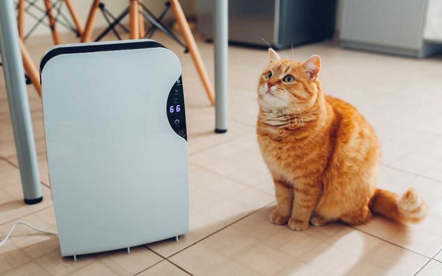 4 món đồ gia dụng nên sắm khi vào mùa mưa