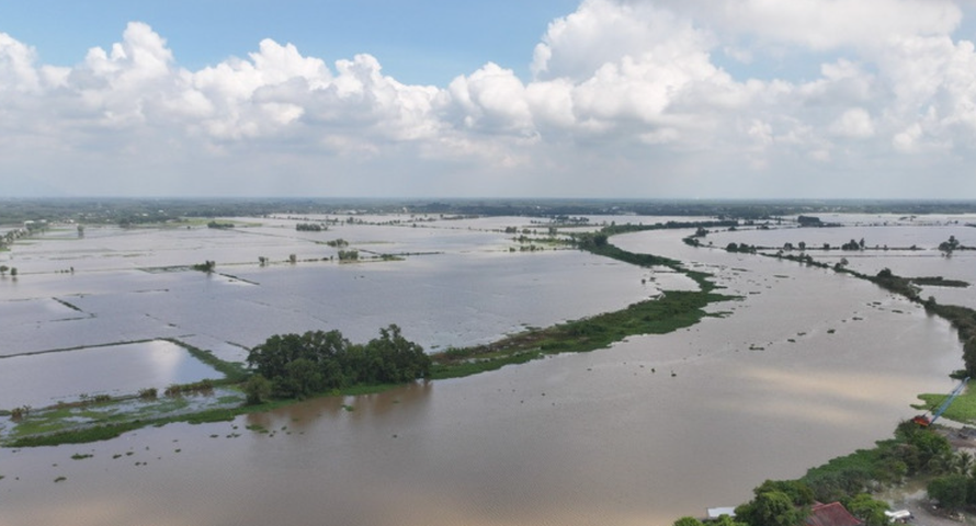 Nước sông Vàm Cỏ Đông (đoạn chảy qua địa phận xã Thạnh Đức, tỉnh Tây Ninh) dâng cao, gây ngập nhiều diện tích đất nông nghiệp của người dân.