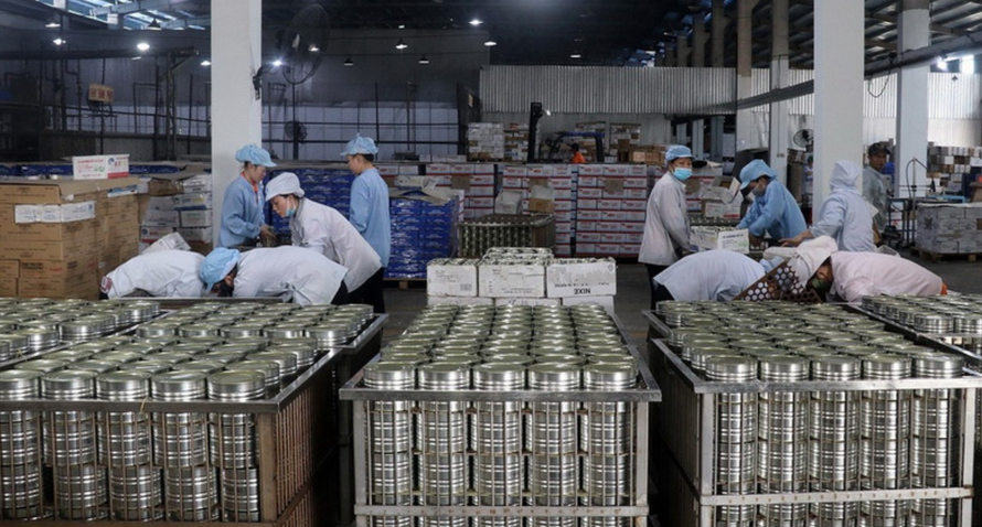 Sản xuất chế biến cá hộp xuất khẩu tại nhà máy thực phẩm đóng hộp KTC, Công ty cổ phần thương mại Kiên Giang