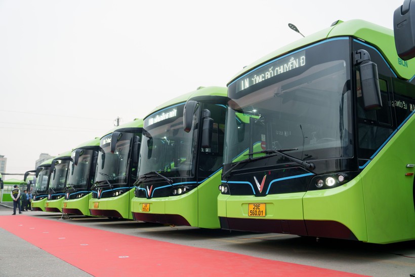Buýt Liên Ninh đã chuyển đổi toàn bộ đội xe hiện hữu sang sử dụng xe buýt điện.
