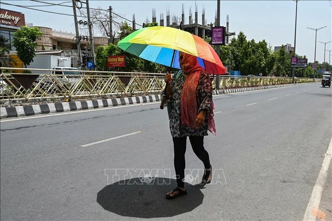 Người dân che ô khi di chuyển ngoài trời trong ngày nắng nóng tại Amritsar, Ấn Độ. Ảnh: AFP/TTXVN