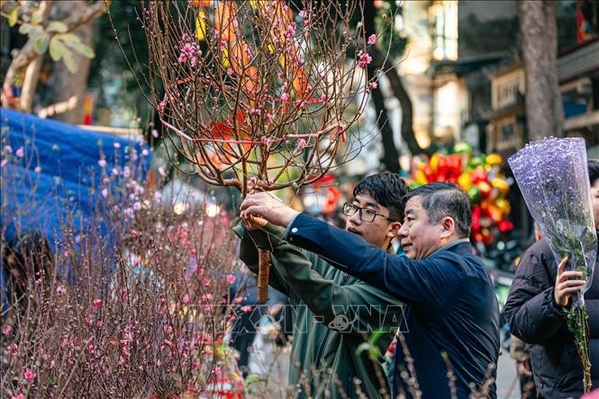 Với nhiều người Hà Nội, đi chợ Hàng Lược sắm sửa Tết là một thói quen mỗi dịp Tết đến, Xuân về. Ảnh: Phạm Tuấn Anh/TTXVN